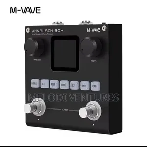 Bass and Lead Guitar Effect Board