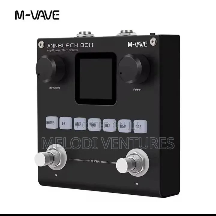 Bass and Lead Guitar Effect Board