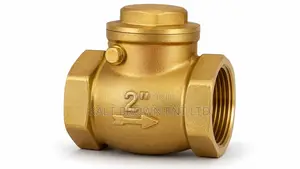 2 Inch Brass Non-Return Check Valve (Swing Type) – Heavy Duty