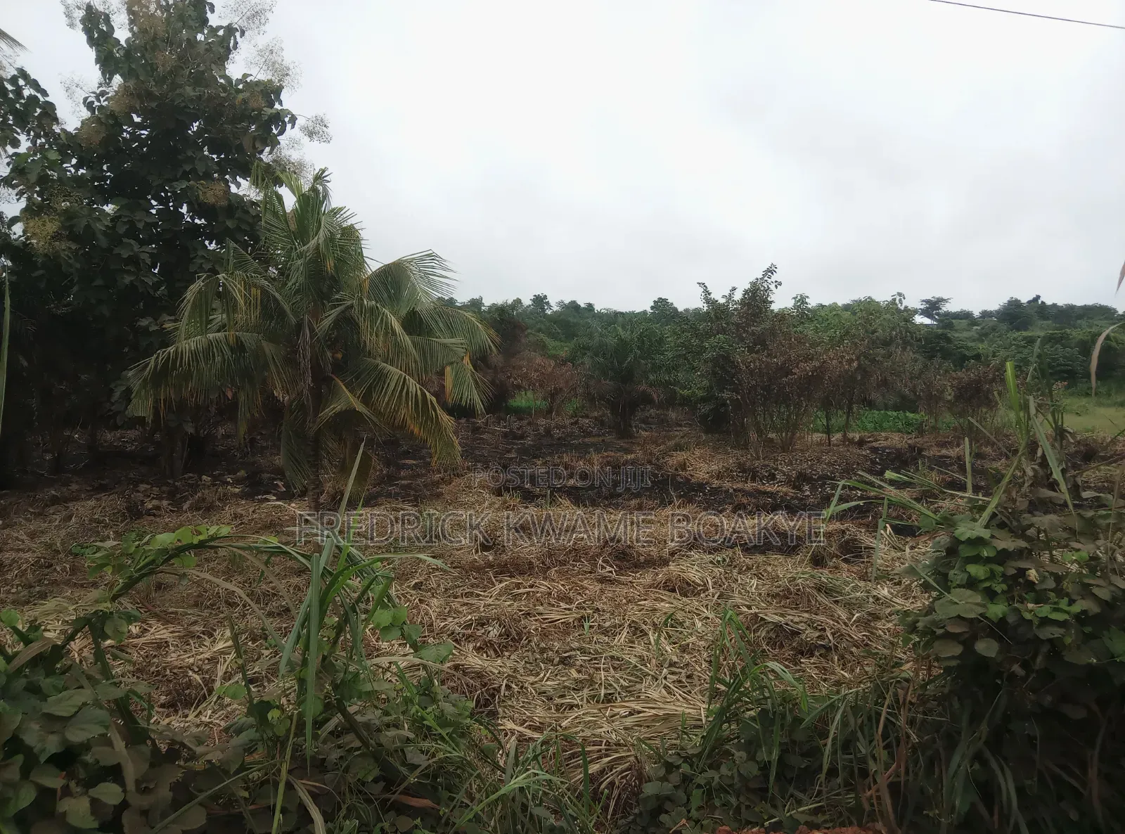 Filling Station Land for Sale at Mankranso Asempaneye