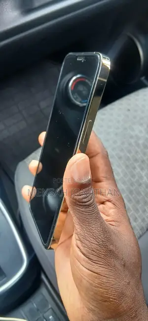 Apple iPhone 12 Pro Max 256 GB Gold