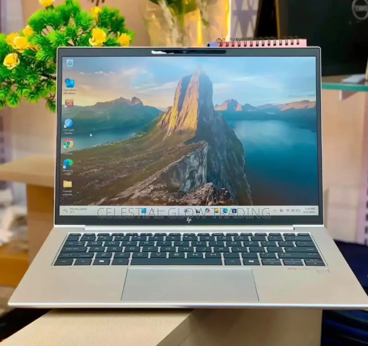 Laptop HP EliteBook 845 G11 16GB AMD Ryzen 7 SSD 512GB