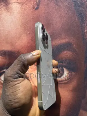 Apple iPhone 16 Pro Max 256 GB Silver
