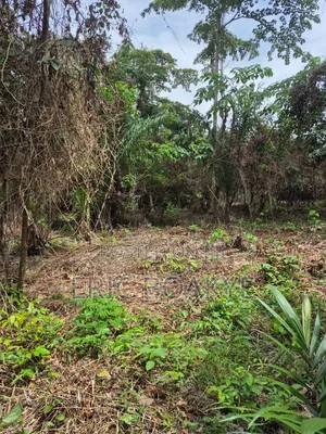 Lands for Farming, Small Scale Mining at Ahafo, Ashanti and Eastern