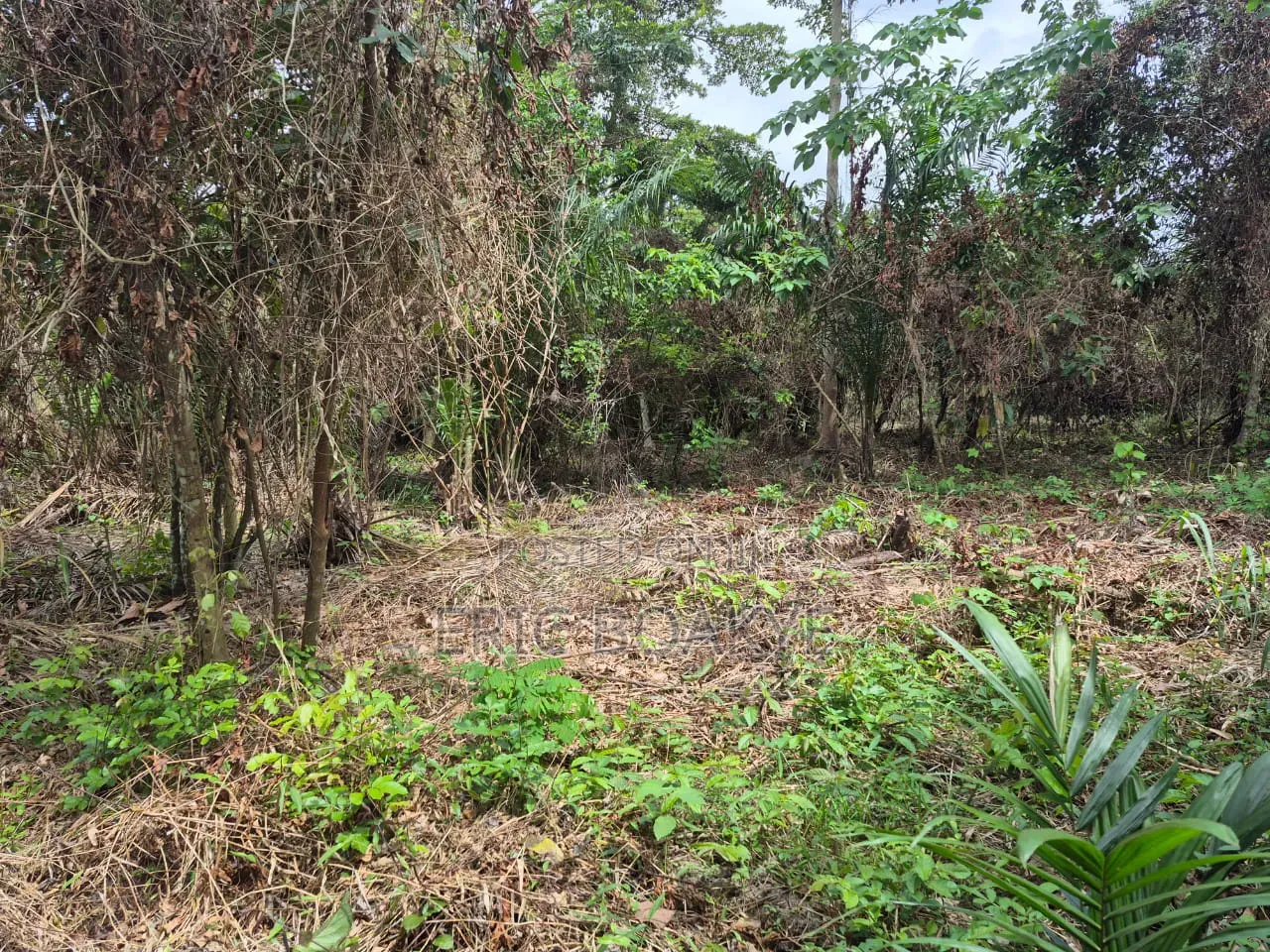 Lands for Farming, Small Scale Mining at Ahafo, Ashanti and Eastern