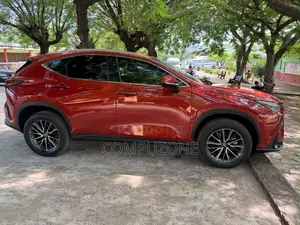 Lexus NX 250 2023 Red