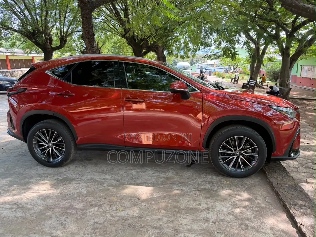 Lexus NX 250 2023 Red