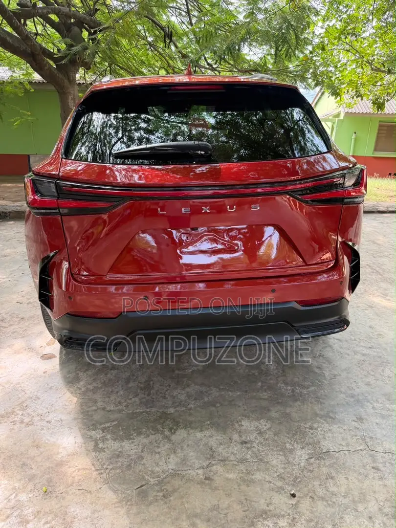 Lexus NX 250 2023 Red
