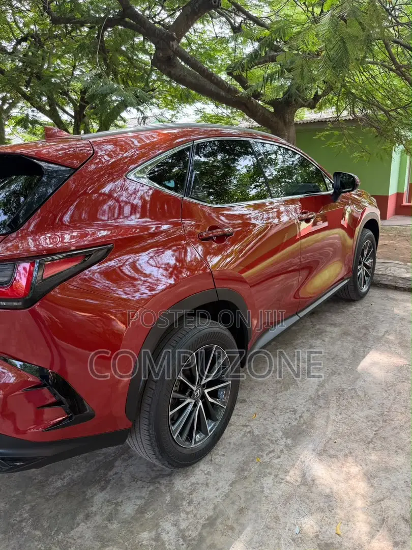 Lexus NX 250 2023 Red