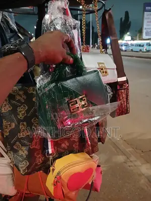Exclusive Ladies Handbag