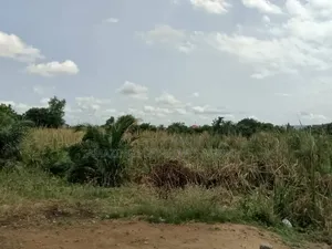 1.14 Acres of Prime, Main-Roadside, Shiashi