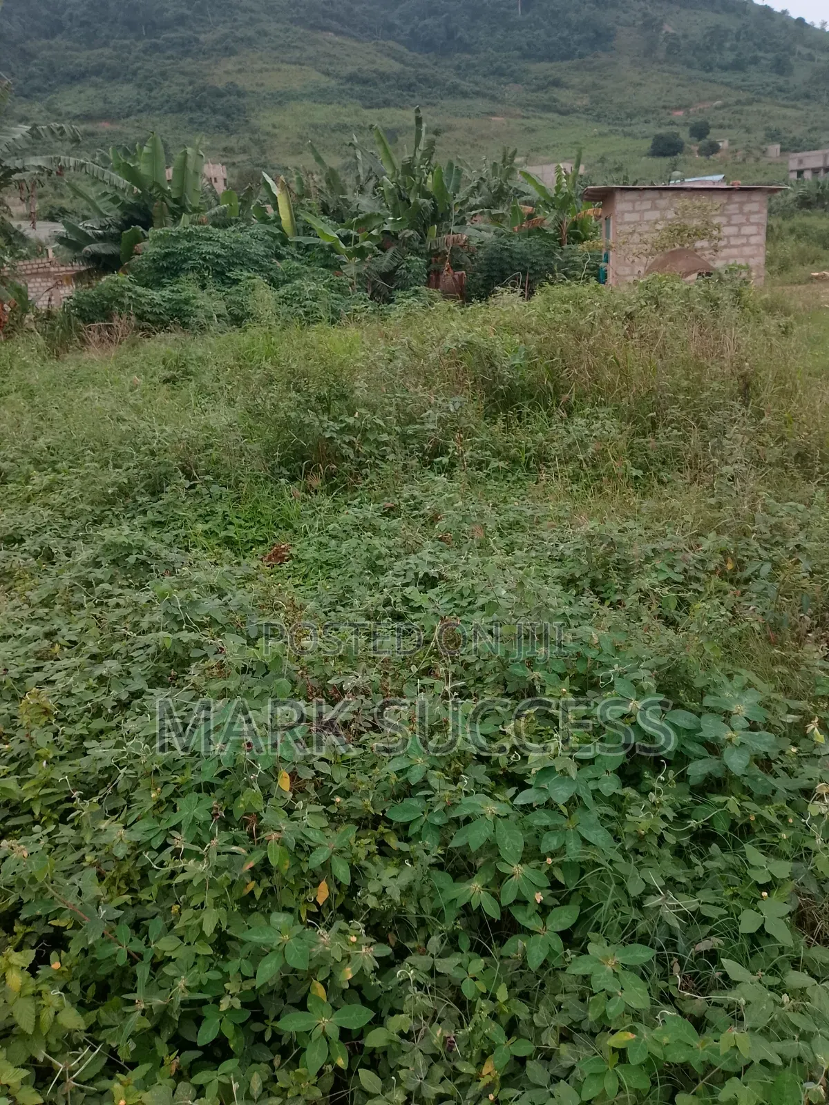 Title Plot of Land for Sale at Pokuase