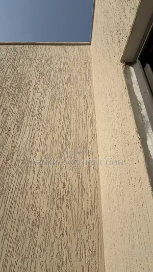 Graffiato Works and Painting Job