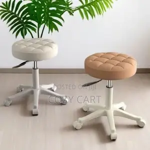 Adjustable Rolling Stool