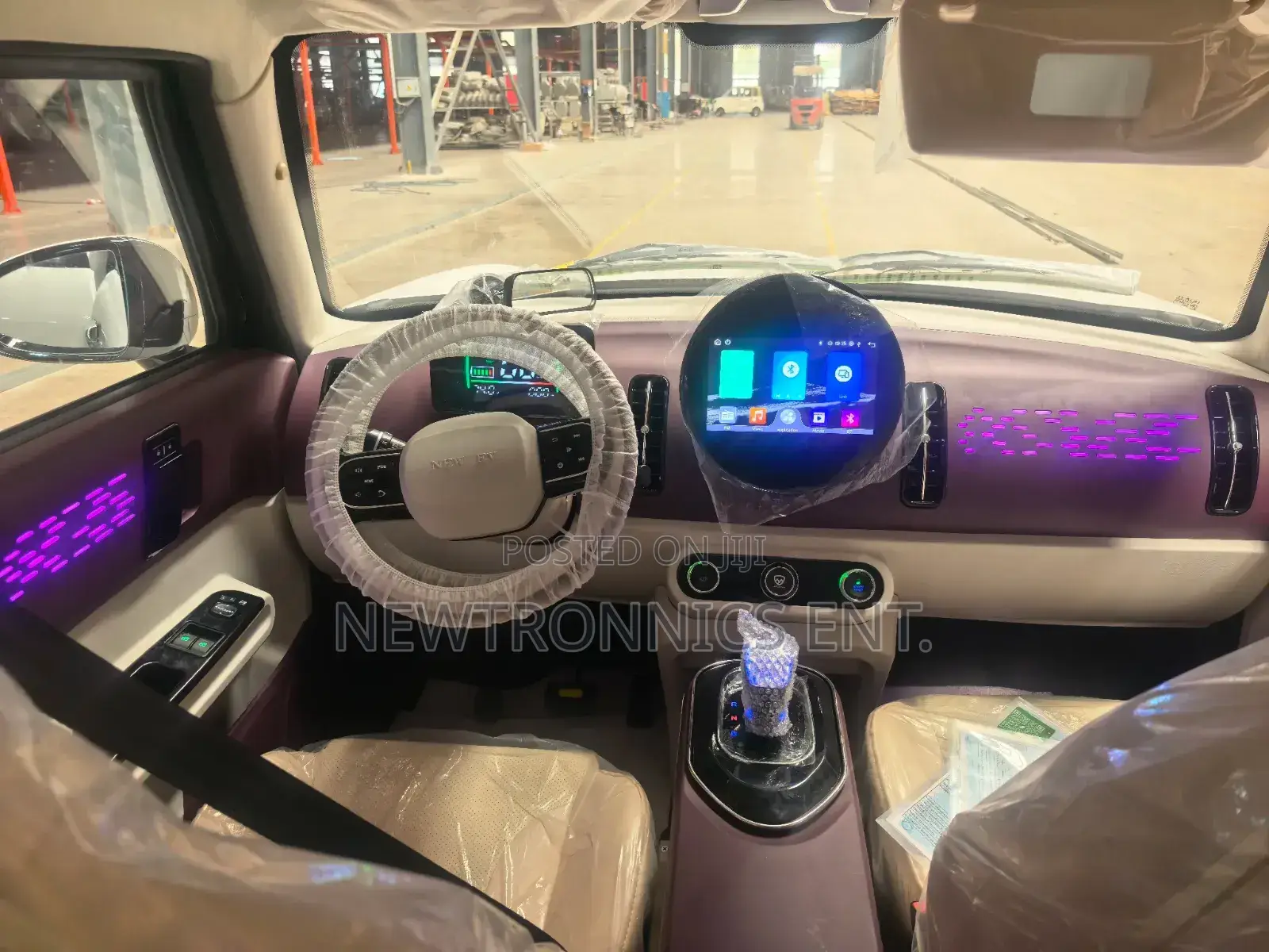 Seagull Electric Car Ch