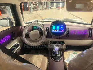 Seagull Electric Car Ch