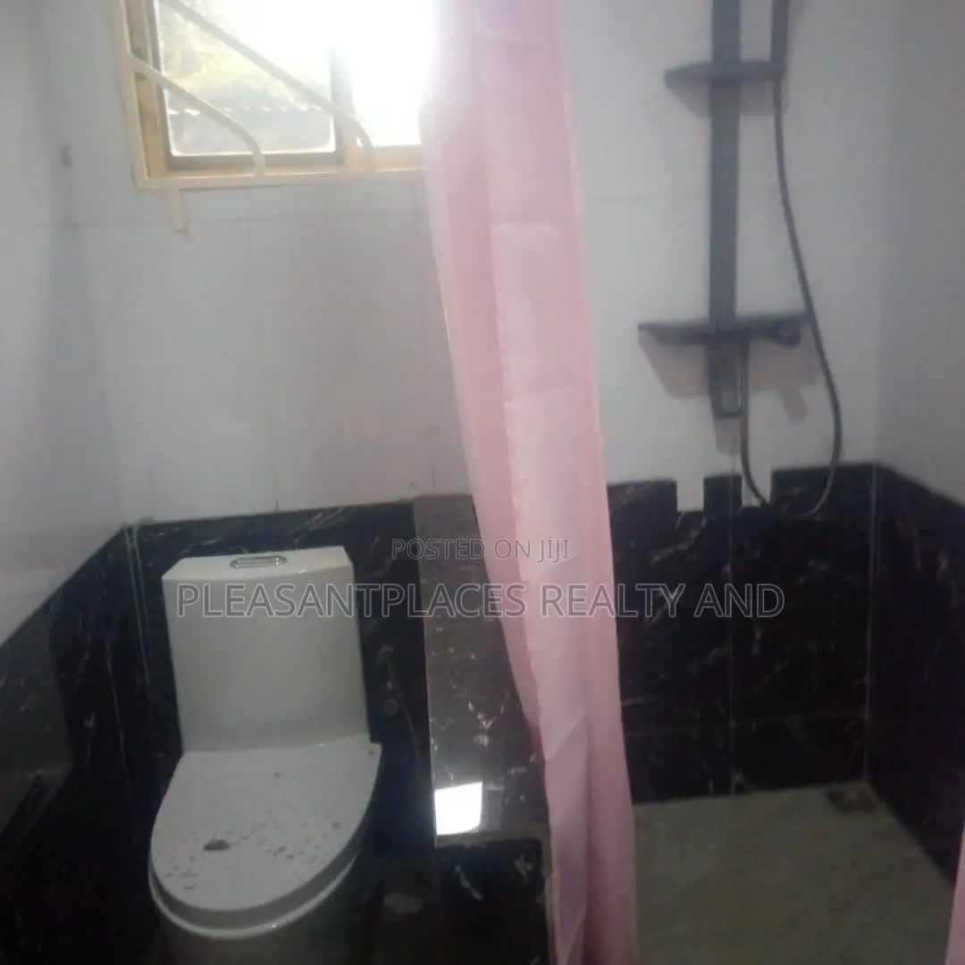1bdrm Apartment in Pleasantplaces And, Dzorwulu for rent