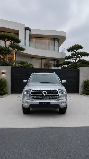 Great Wall Pao 2020 Gray