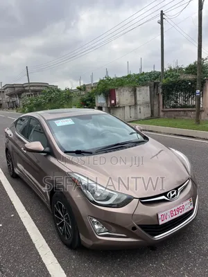 Hyundai Elantra 2016 Brown