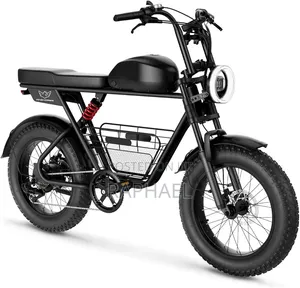 Quality WindHorse Ebike