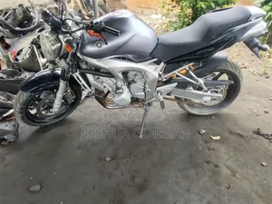 Yamaha FZ6 2009 Silver