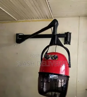 Almost New Salon Hair Dryer
