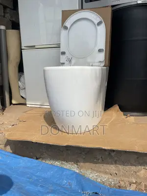Tornado Flash Water Closet Back to Wall Toilet