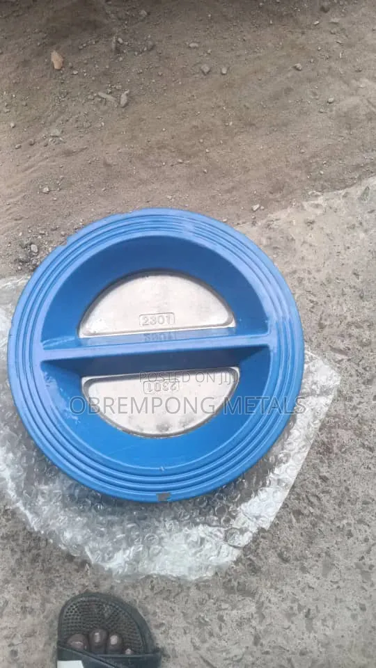 8" Ss Tongue Check Valve or Non Return Valve