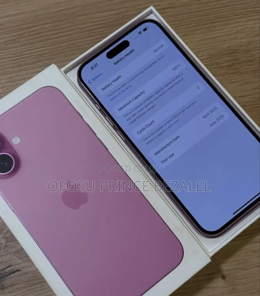 Apple iPhone 16 Plus 256 GB Pink