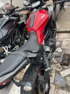 Yamaha FZ 2016 Red