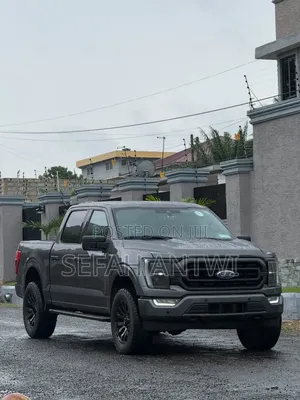 Ford F-150 2021 Gray