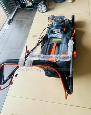 1.5 Litre Tank Leo 5.5hp Lawn Mower