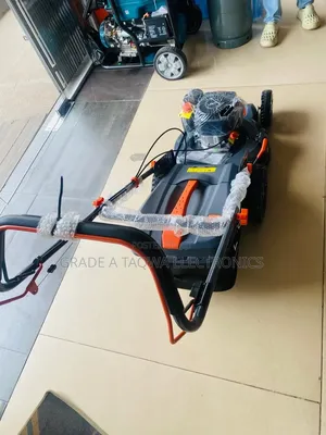 Self-Propelled Leo 5.5 Horsepower Lawn Mower