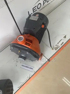 Leo 2acm300h 4hp Surface Pump