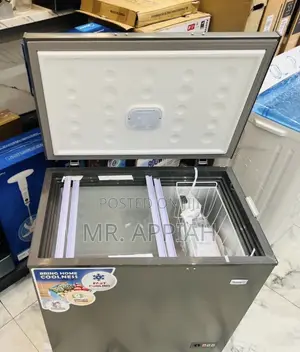 High Efficient Nasco 251L Single Door Electric Chest Freezer(Gray)