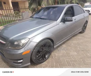 Mercedes-Benz C250 2014 Gray