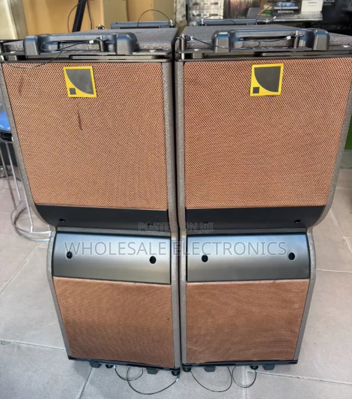 Kara Line Array 10 Inches PAIR