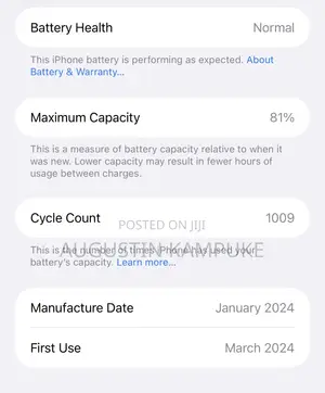 Apple iPhone 15 Pro Max 256 GB Gray