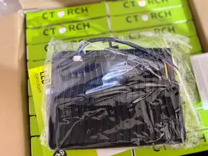 C Torch Floodlight 50w