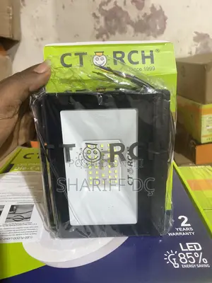 C Torch Floodlight 30w