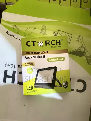 C Torch Floodlight 30w