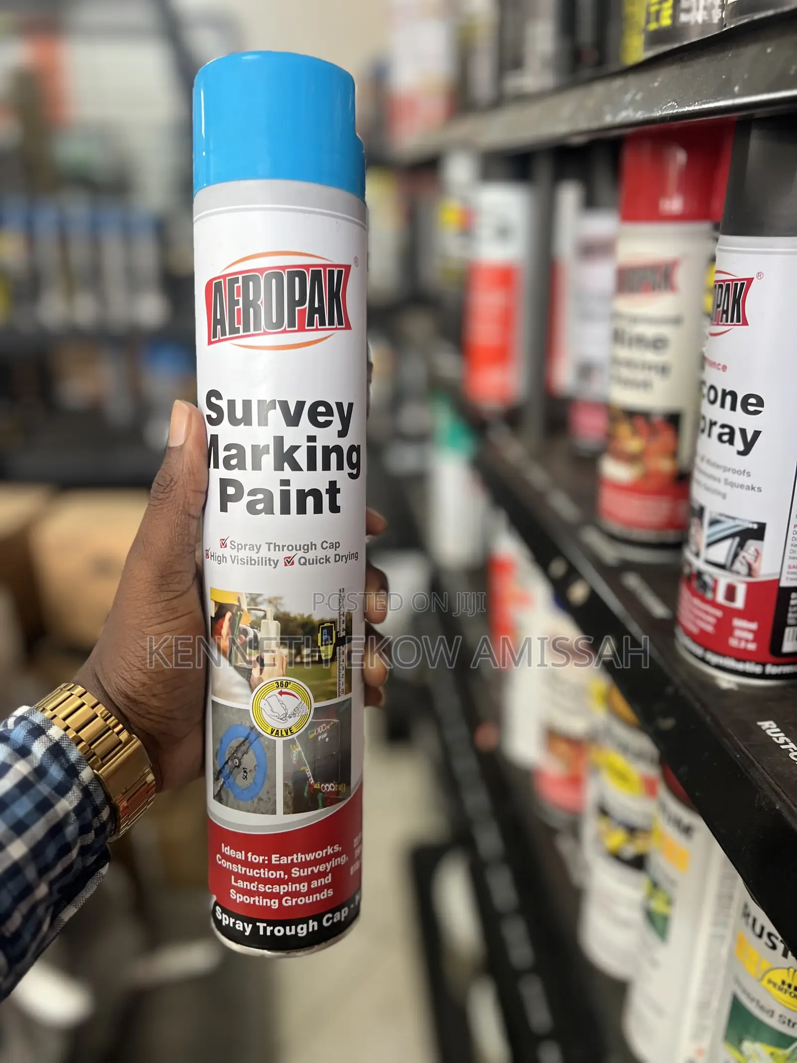 Survey Marking Paint