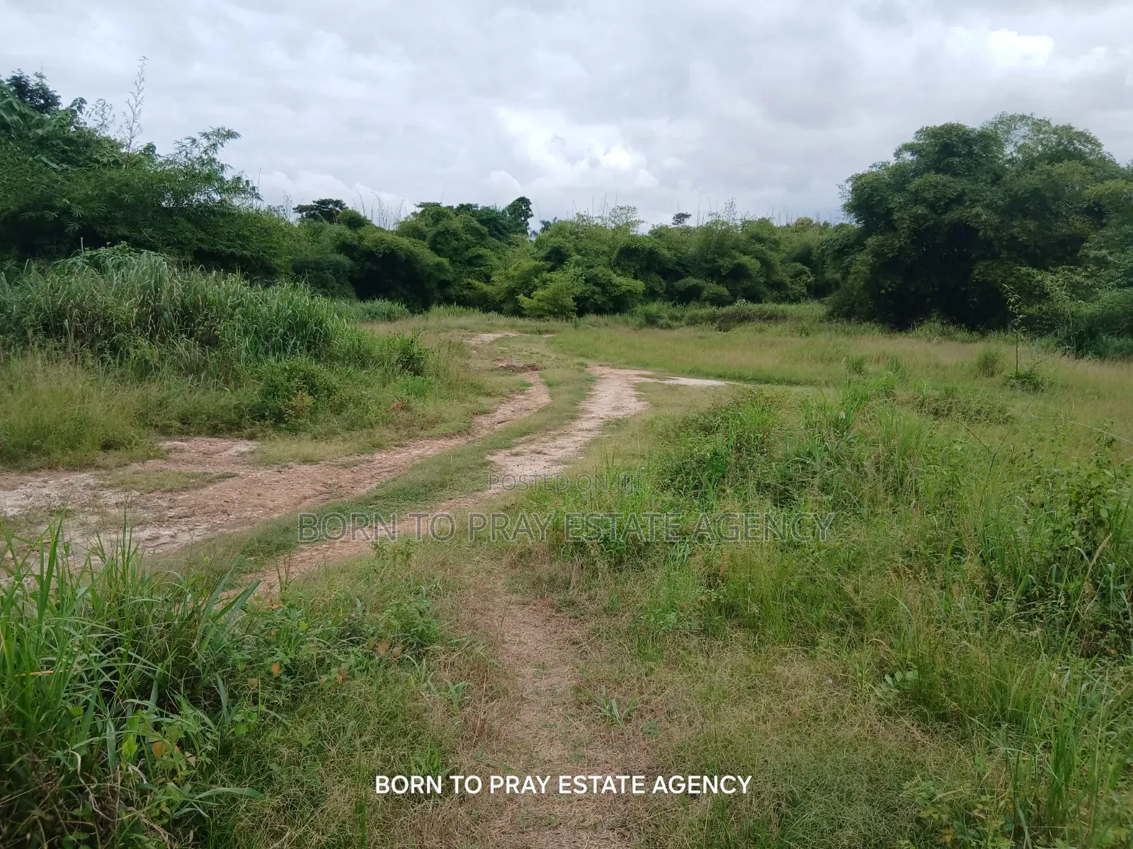 4bdrm House in Born to Pray Estate, Ejisu-Juaben Municipal for Sale