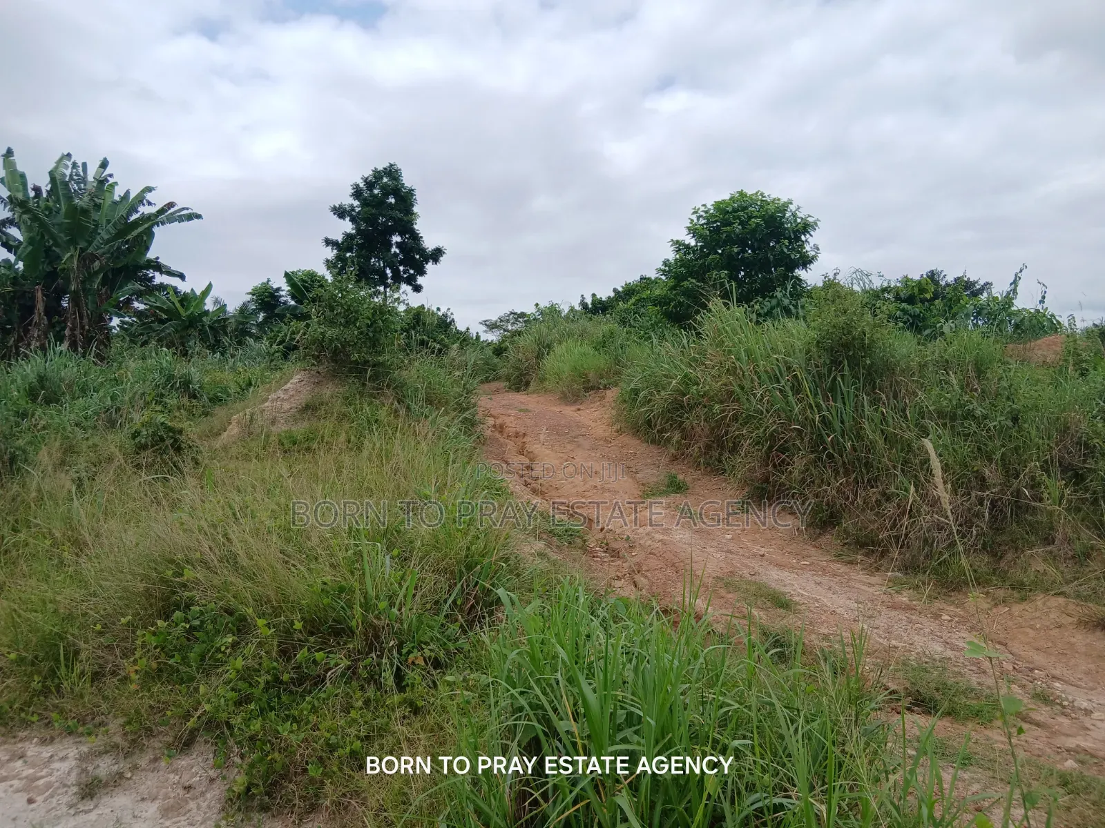 4bdrm House in Born to Pray Estate, Ejisu-Juaben Municipal for Sale