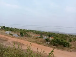Quick Sale of Land at Amasaman- Danchira