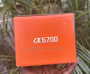 Sony A6700 Mirrorless Camera