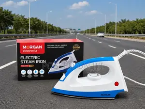 Electric Steam Iron Morgan