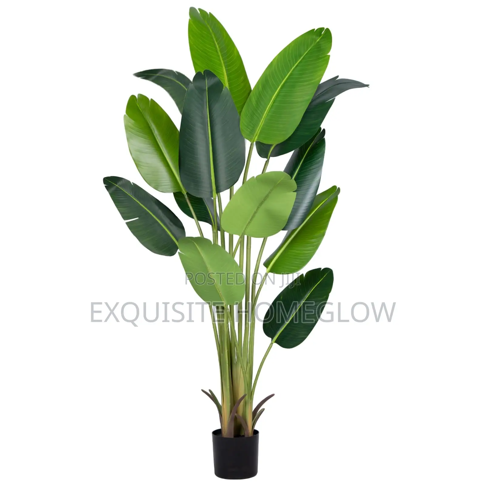 Faux Banana Plant Available in 160cm and 180cm
