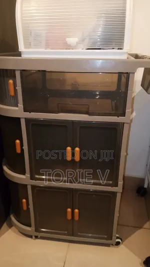 Neatly Used Plastic Storage Cabinet – Excellent Condition