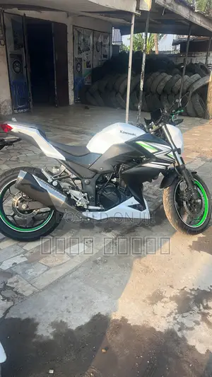Kawasaki 2022 White